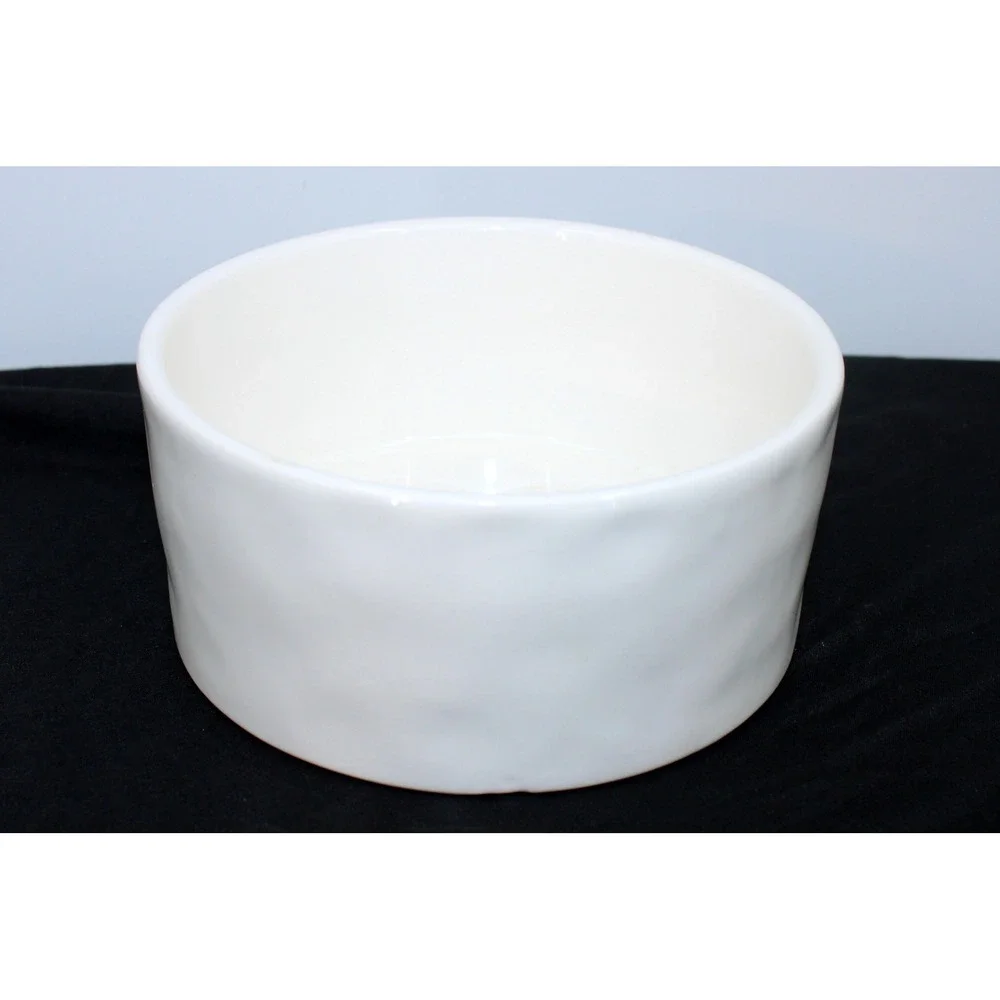 Rae Dunn DEVOUR Large White Ceramic Pet Dog Bowl Artisan Collection by Magenta